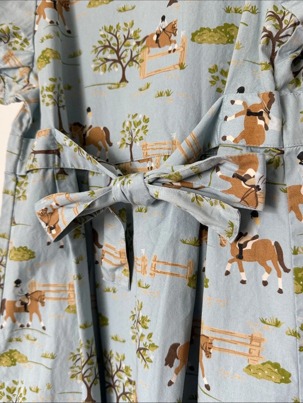 girls 6 Gymboree blue horse equestrian riding dress print club pleated cotton